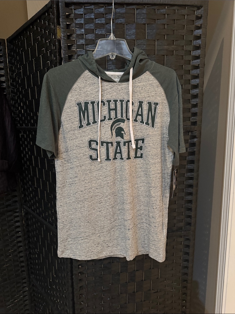 Michigan State Short-Sleeve Hoodie Tee - Gray & Dark Green
